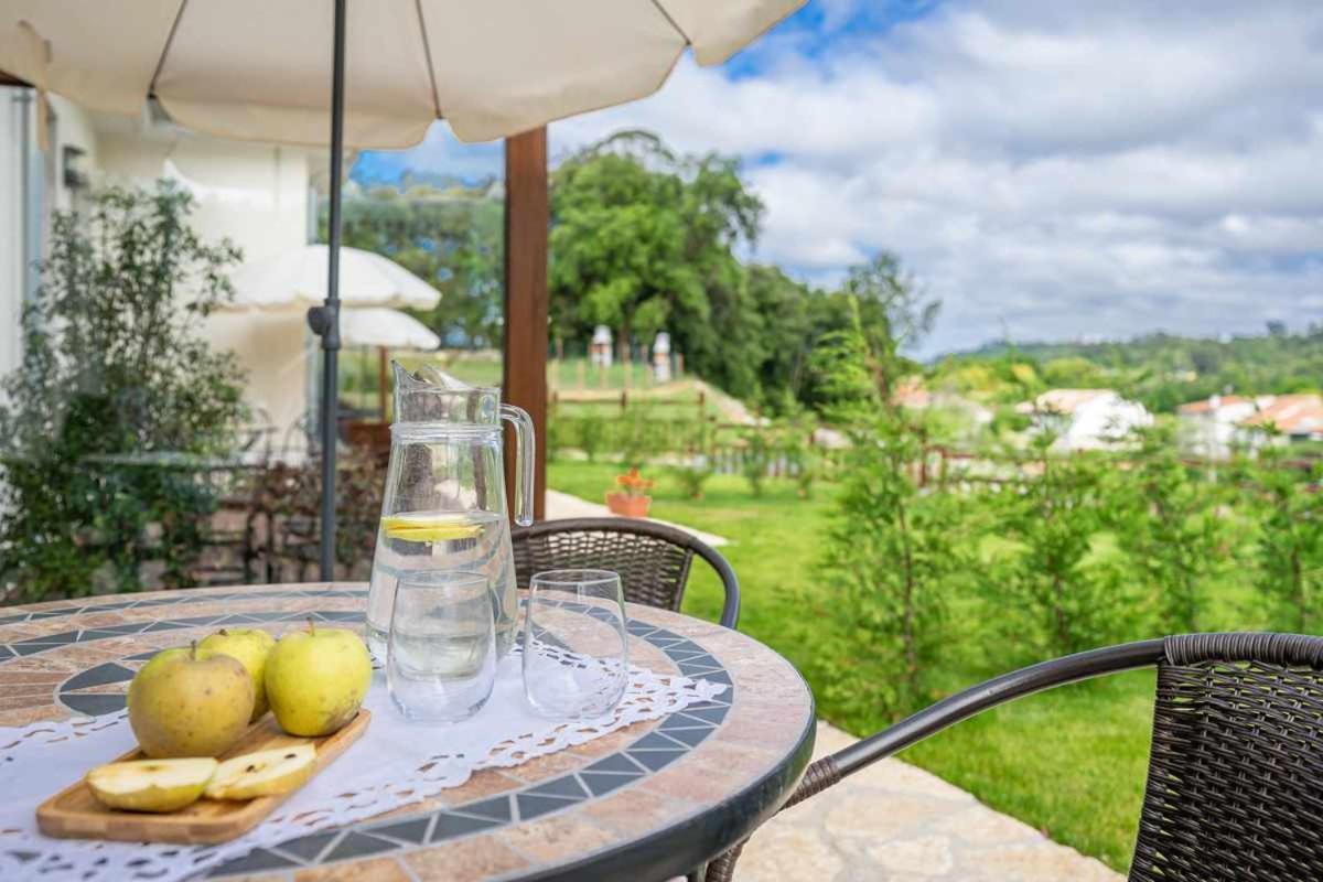 Apartament La Rexidora Appto Mamut Cuerres Zewnętrze zdjęcie